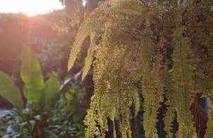 Balaio da Yolanda Ecovila Boutique - Foto 9