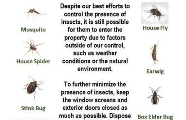 The Park Cabin at Mount Carmel Motel and RV Park - Foto 35