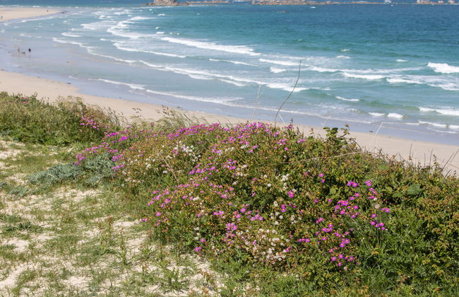 des Aulnes - Foto 38