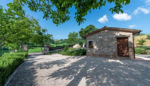 Todi Truffle - Photo 3