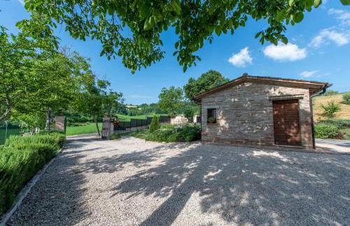 Todi Truffle - Photo 3