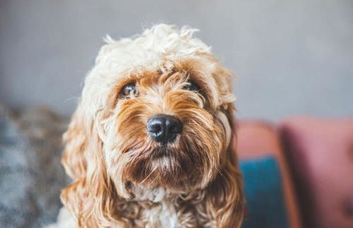 The Old Shop, Studio Hideout, Stoke Fleming - Foto 17