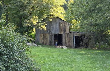 Yellow Creek Cabin - Foto 100