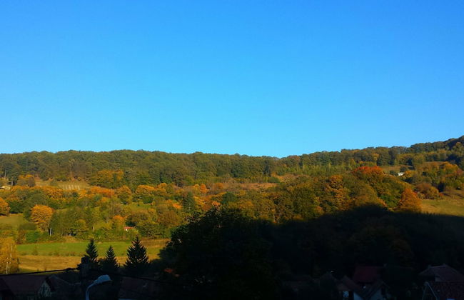 Casa Lily-Japanese Retreat - Foto 38