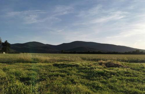 Podere Montecorno - Foto 54