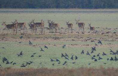 La Casa de Oti playa Mazagón vistas al mar - Foto 41