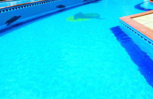 Solar pipa duplex lua cheia - Foto 21