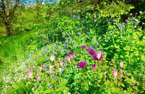 Natururlaub Frankenau - Foto 16