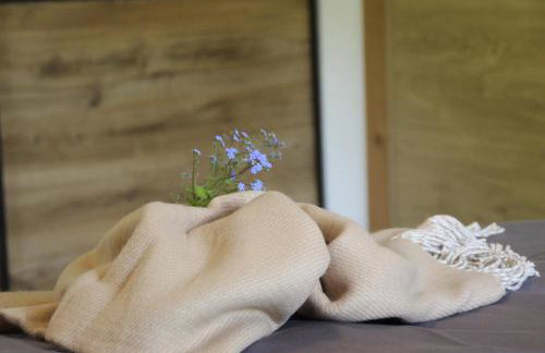 Ferienwohnungen Hasenknuck - Foto 41