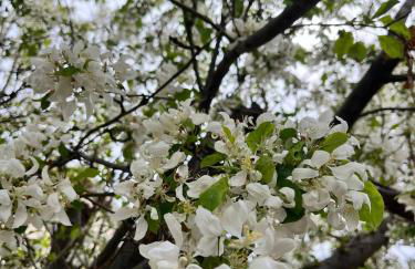 Picturesque Pueblo at Palmer Lake Sleeps 14 - Foto 54