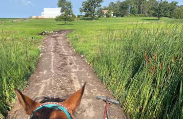 Yahweh Horse Retreat - Photo 31