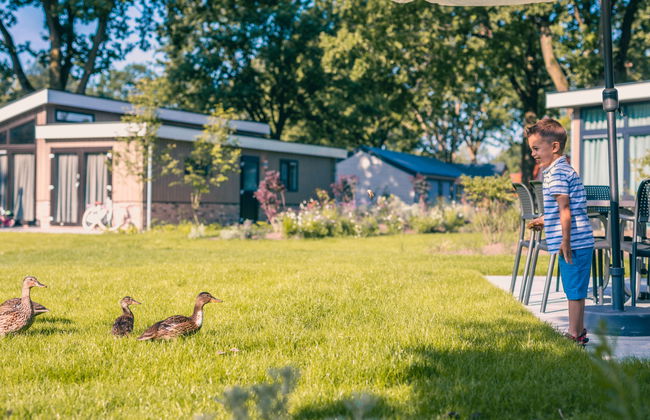 3 bedroom House in Kaatsheuvel with swimming pool and terrace - Photo 32