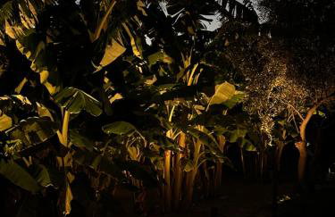 Nafplio Lodge - Foto 20