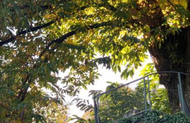 La mia casa sul lago con vista mozzafiato - Foto 58