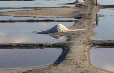 Un studio indépendant avec jardin - Foto 14