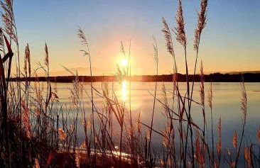 Barcaresa-Charmant T 2 vue mer pied dans l'eau - Photo 53