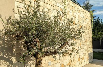 Villa Agapanto - Foto 21