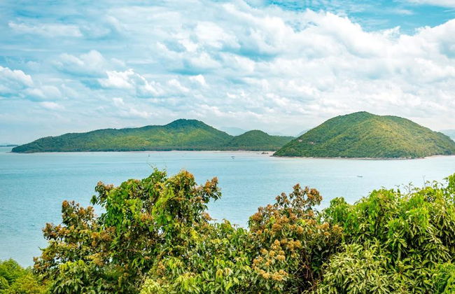 Koh Samui Island Hopping e mergulho com snorkel: Ilha dos Corais e dos Porcos - Tour de dia inteiro - Foto 4