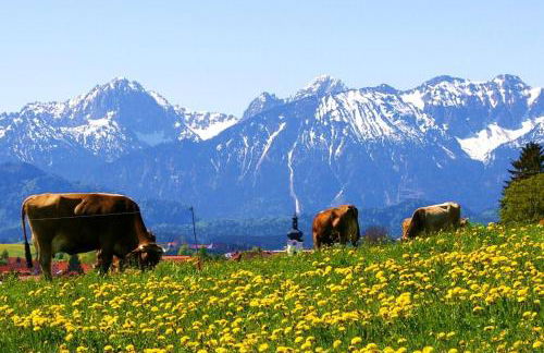 Haus Bergblick - Foto 34