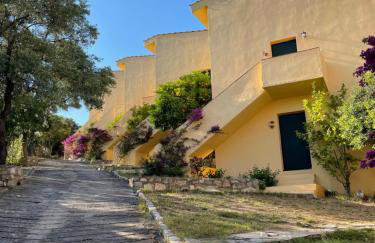 The Yellow Houses - Photo 19