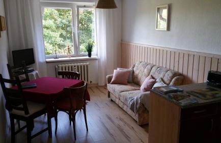 Ferienwohnung Wolf - Photo 9