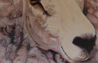 The Glamavan - Photo 39