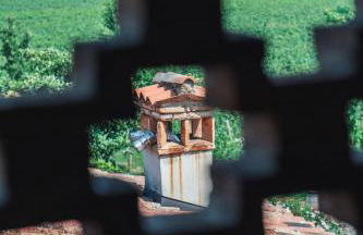 Franciacorta Country Lodges - Foto 12