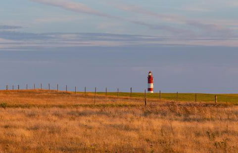 Haus Jungnamen Sand Whg. 14 - Photo 22