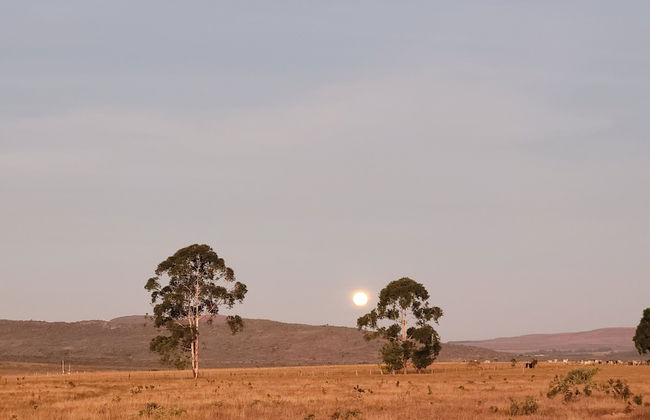 Chalés Recanto da Baleia - Photo 78