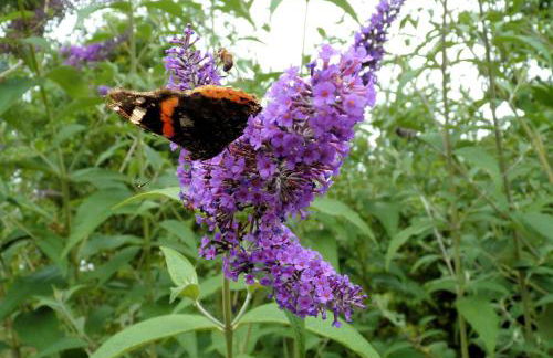 La Longere - Photo 28