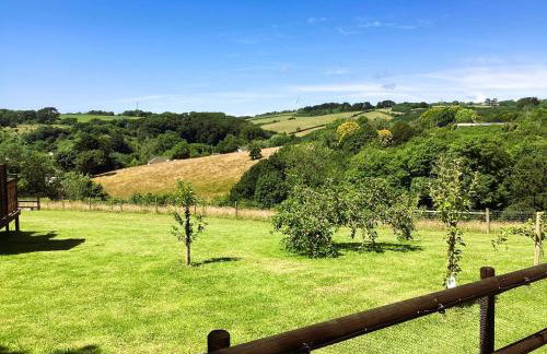 Bosvean Cottage - Foto 21