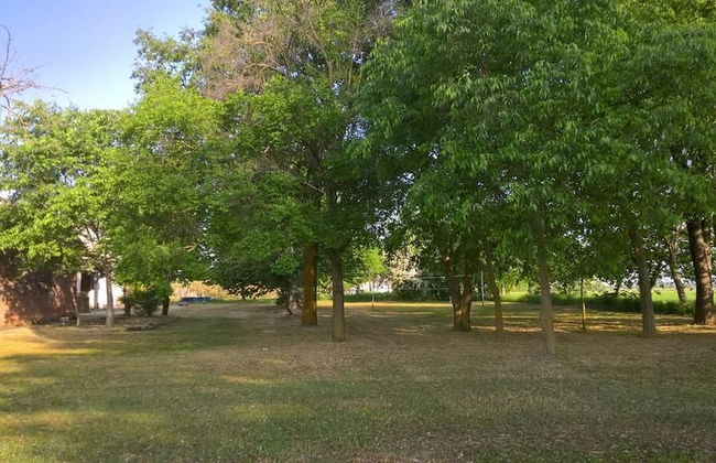 Agriturismo Cipolli e Podò Corte Carlini - Foto 30