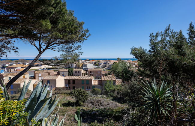 Petite Cigale - Foto 23