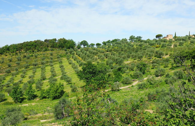 Poggio Velluto - Foto 54