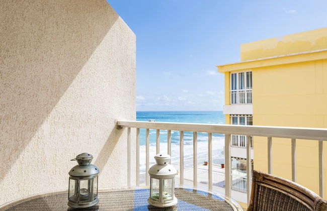 Hortensia - Primera Linea - Foto 16