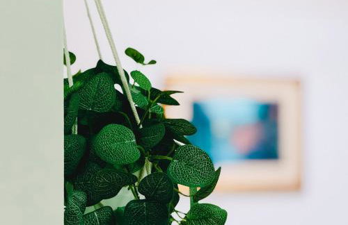 Gorgeous 1 bed flat, Sleeps 4, free Parking, Pet friendly, Pudsey, Leeds - Foto 47