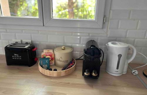 Disneyland 10 minutes Paris 35 minutes - Foto 9