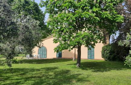 Podere Il Cerrone app Romilda con piscina - Foto 45