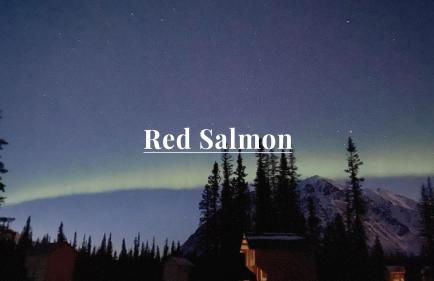 Secluded, Pet Friendly Cabin near Denali National Park with Mountain and Lake Views, Perfect for an Alaskan Escape - Foto 3