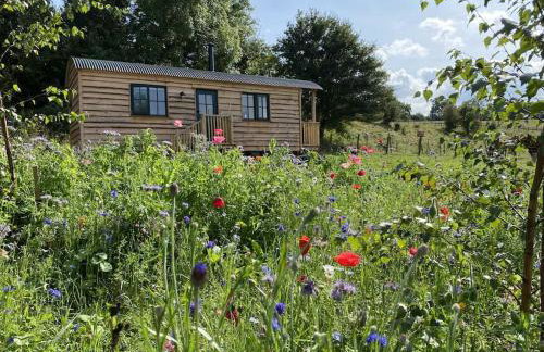 Pilgrims Nap - Photo 1