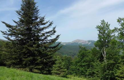 Monolocale Il Capriolo - Abetone - Foto 44