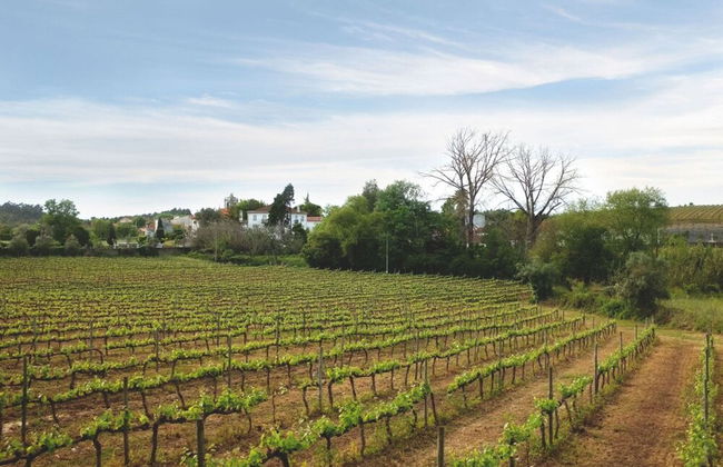 Quinta de São Lourenço - Foto 24