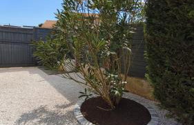 le stockholm - Foto 42