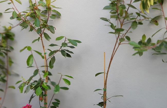 Apartamento À Francos Metro 2 - Foto 19