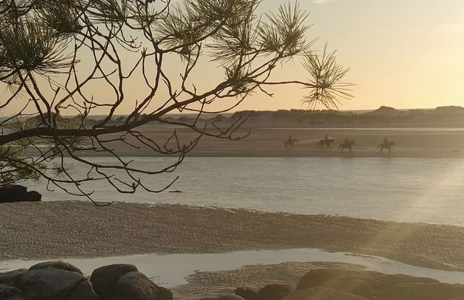 OLardoMar - Casa Rural - Photo 42