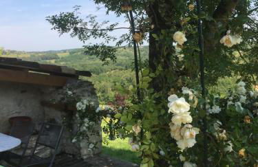 Le Mas des Papillons - Foto 69