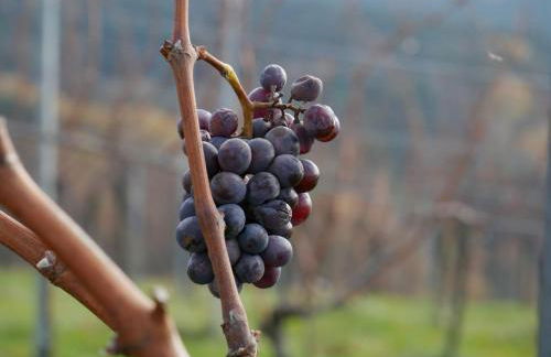 Haus Der Malerin Andrea Gawaz - Foto 7