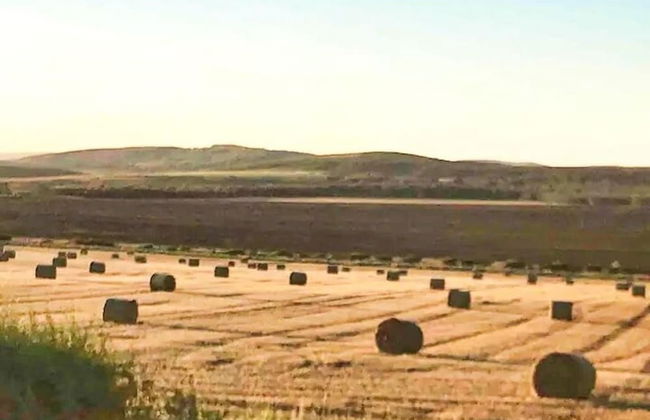 Accessible Bungalow - 4 Beds 2 Baths -dog Friendly - Foto 26