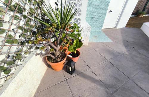 Casa Ancora - Foto 24