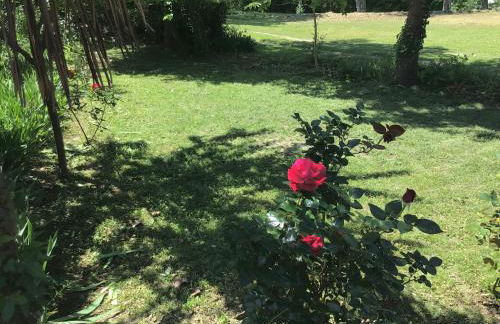 Le gîte de Gascogne - Photo 22